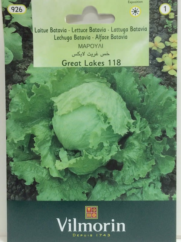 LECHUGA GREAT LAKES 118 2,5 Gramos.1