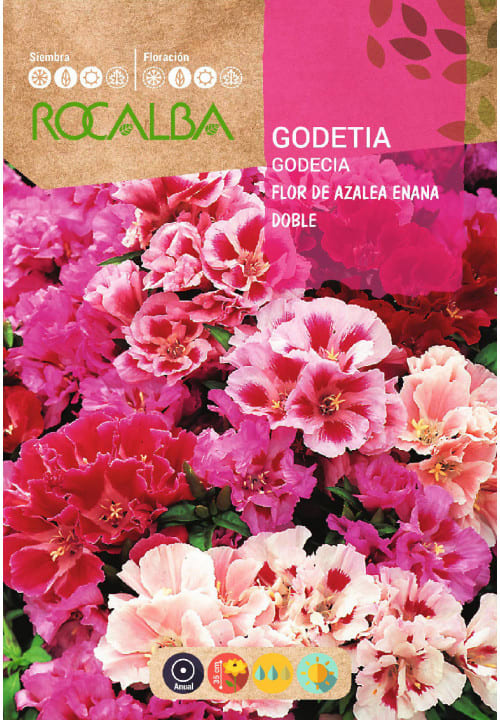 GODECIA Flor de Azalea1