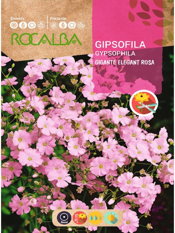 Gipsófila  