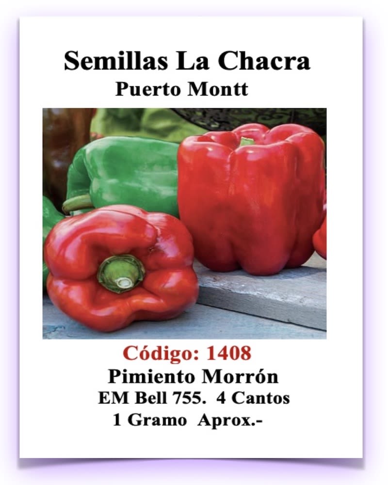 Pimiento Morrón 1 GRAMO   4 CANTOS1