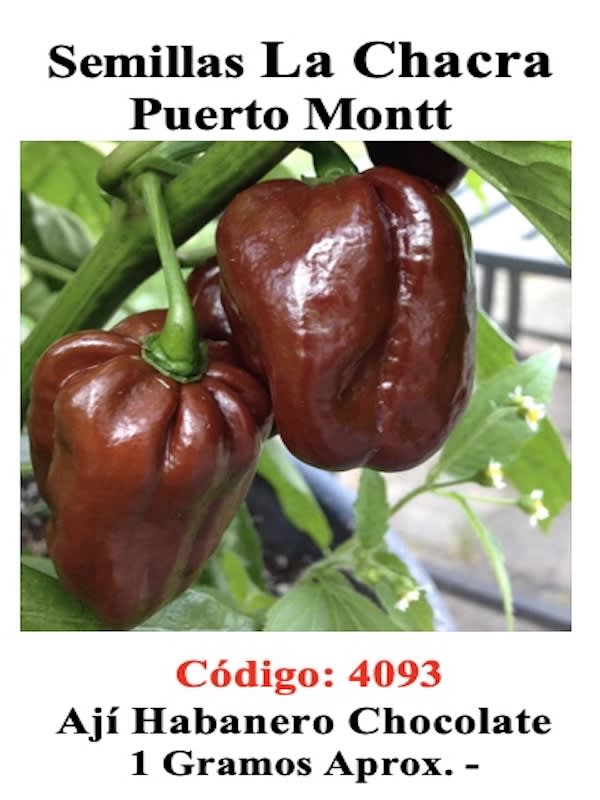 Ají Picante Habanero. Chocolate1