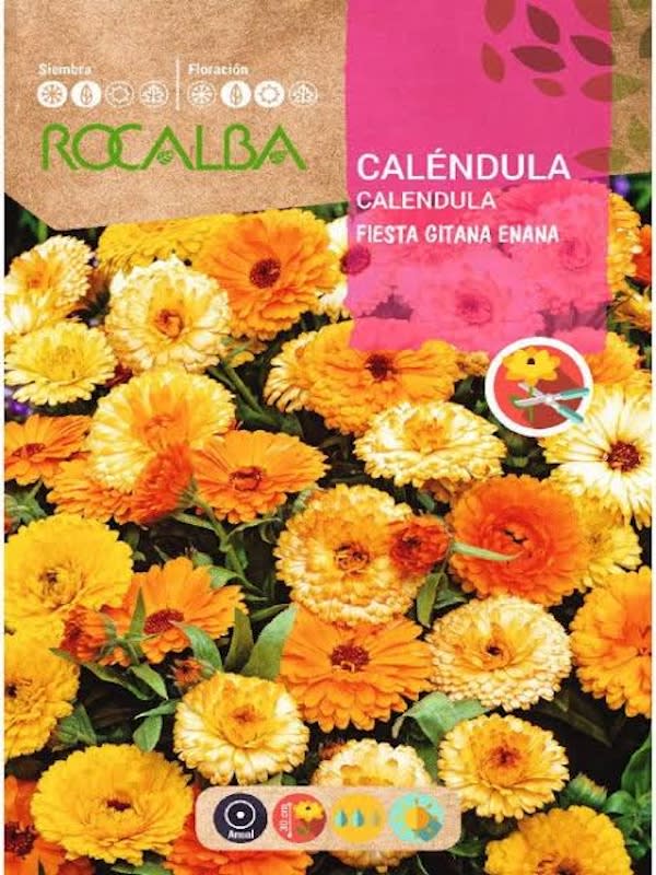 CALÉNDULA Fiesta Gitana Enana1