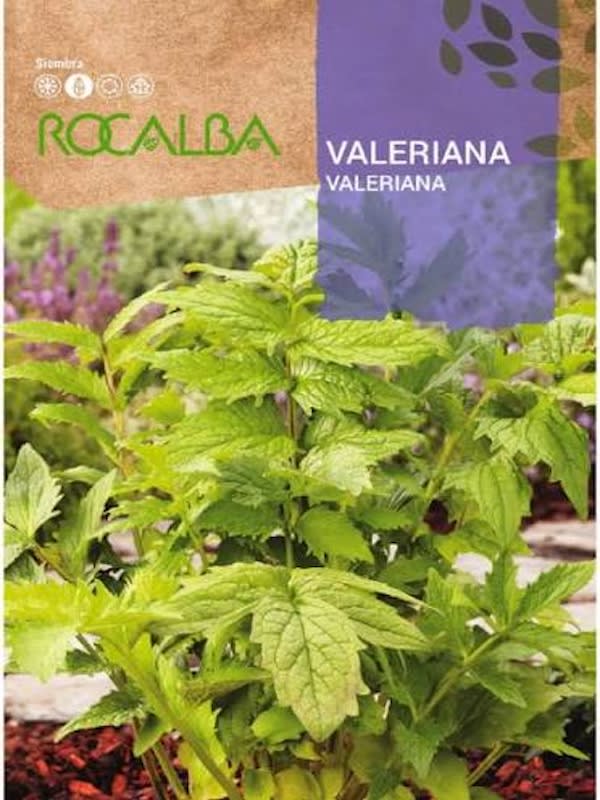 Valeriana1