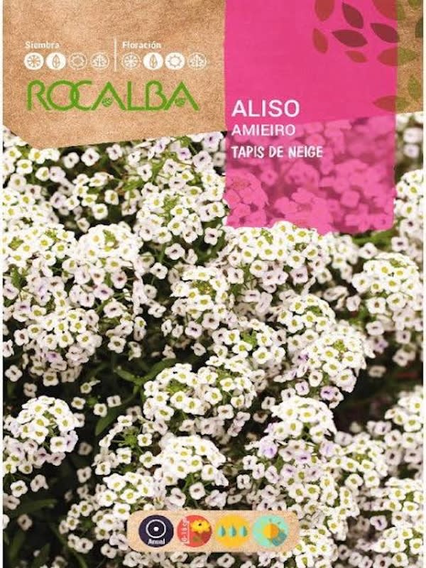 ALISO BLANCO Tapis de Neige1