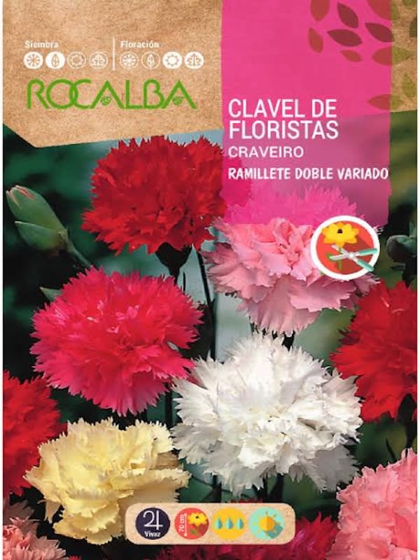 CLAVEL GIGANTE de los Floristas Ramillete Doble Variado1