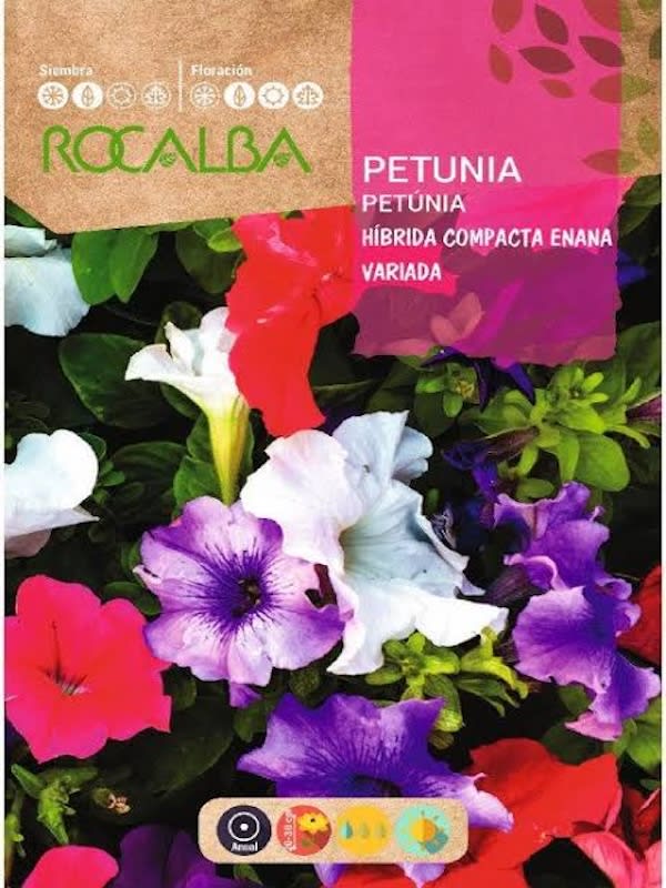 PETUNIA Híbrida Compacta Enana Colores Variados.1