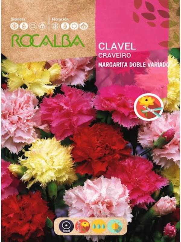 CLAVEL Margarita Doble Variado 1 G1