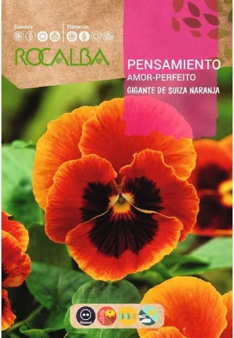 PENSAMIENTO Gigante de Suiza Color: Naranja.1