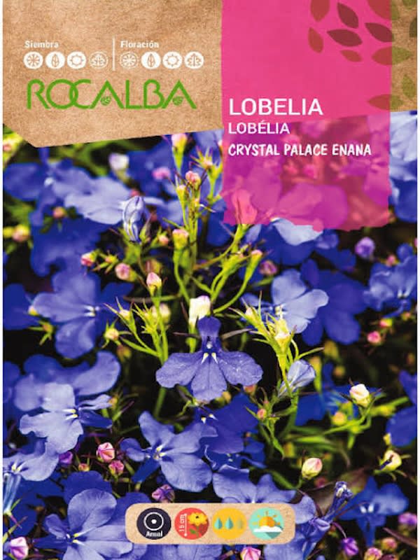 LOBELIA Cristal ENANA AZUL1