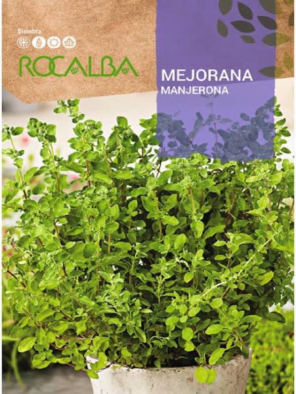 MEJORANA  1G1