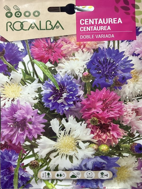 Centaurea Doble Variada1