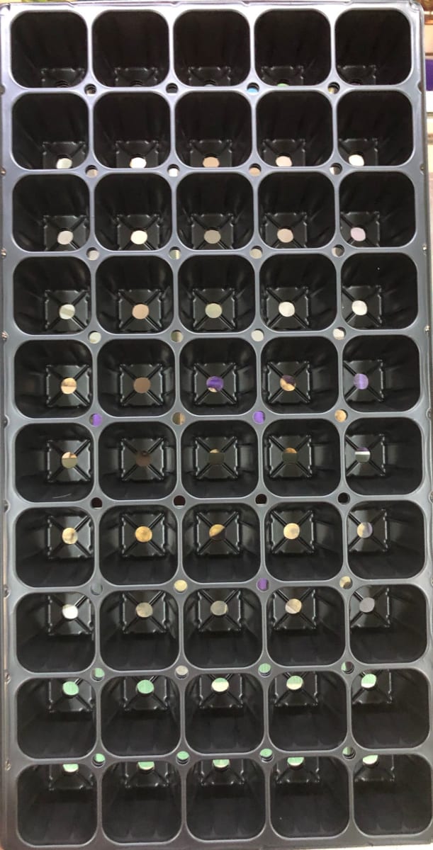 Almaciguera Bandeja 50 CV2