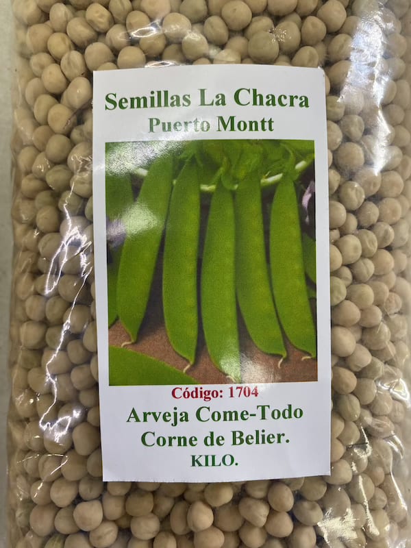 Arveja Corne de Bilier -Sinhila  KILO.1