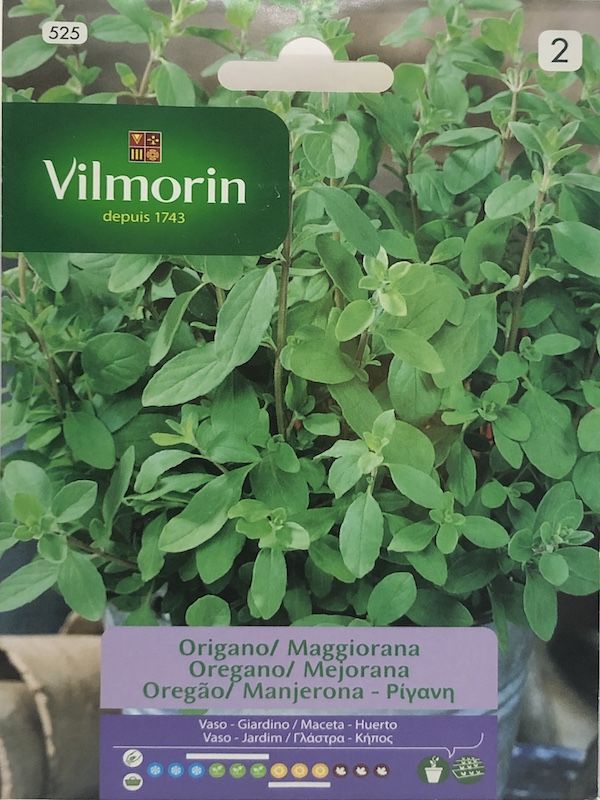 OREGANO MEJORANA VIVAZ1