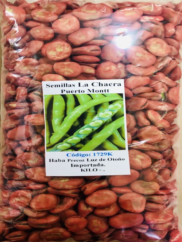 Habas Blanca Luz de Otoño Importada KILO1