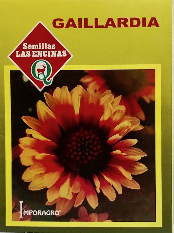 Gaillardia1