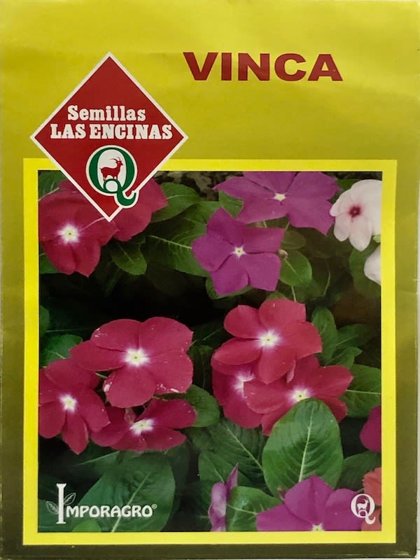 Vinca Rosea Colores Variados1