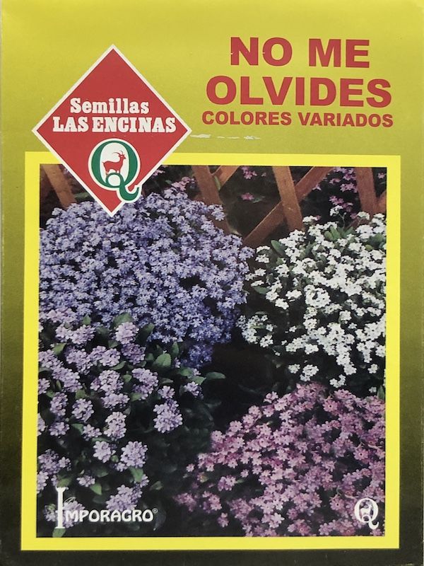 Myosotis (No me olvides)1