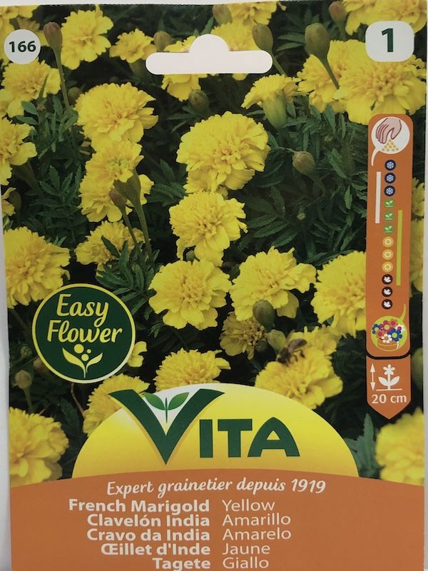 CLAVELON DE LA INDIA AMARILLO 1,5 GM.1