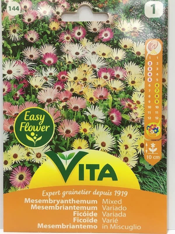 RAYITO DE SOL  TAPIZ MAGICO1