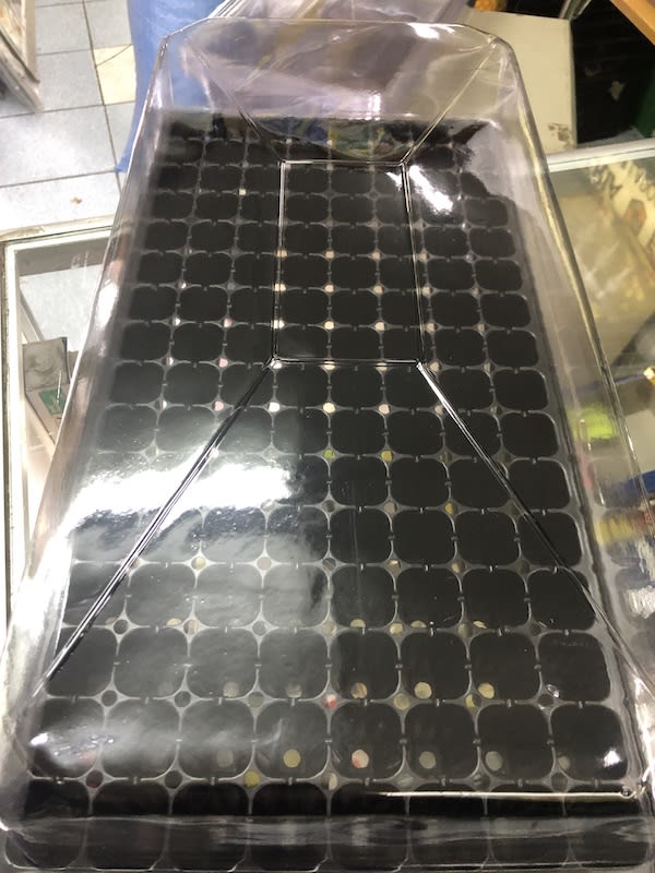 Tapa Cerrada Almaciguera1