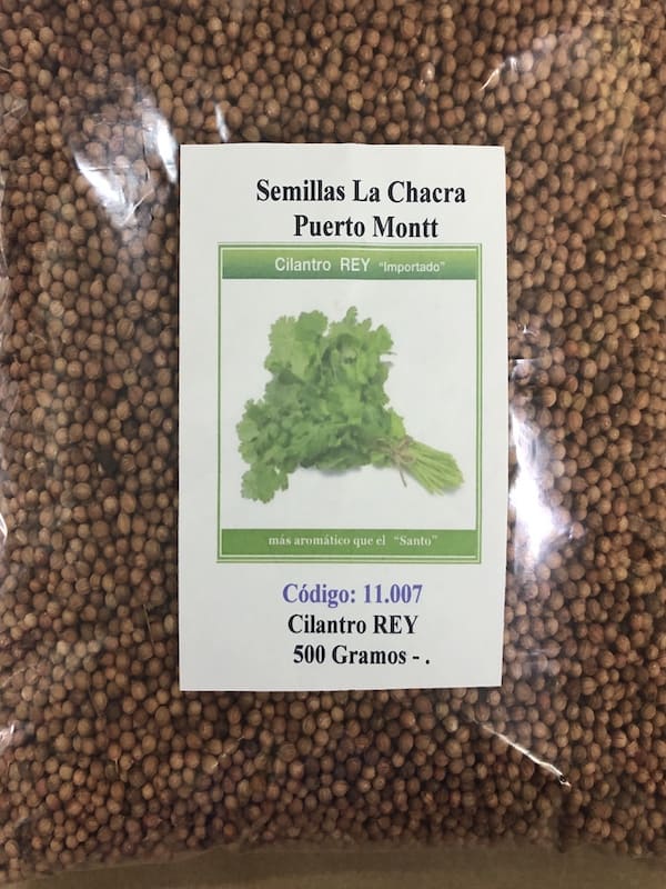 Cilantro Rey ( El más Aromático) 500 Gramos1