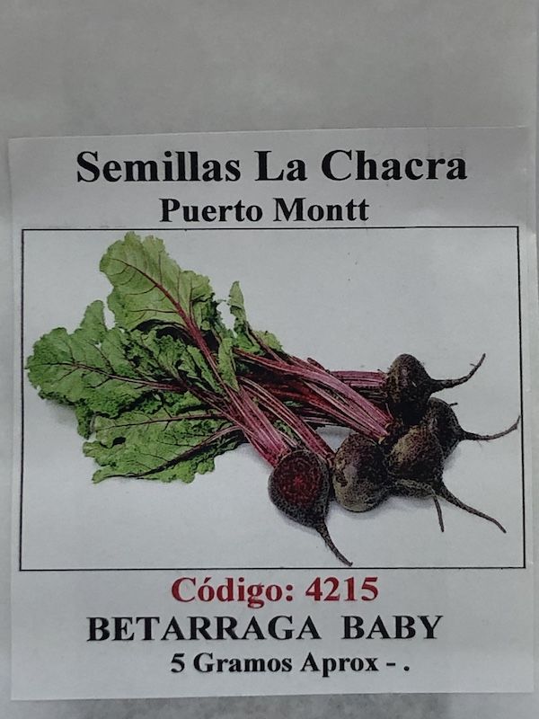 Betarraga Baby para Hojas1