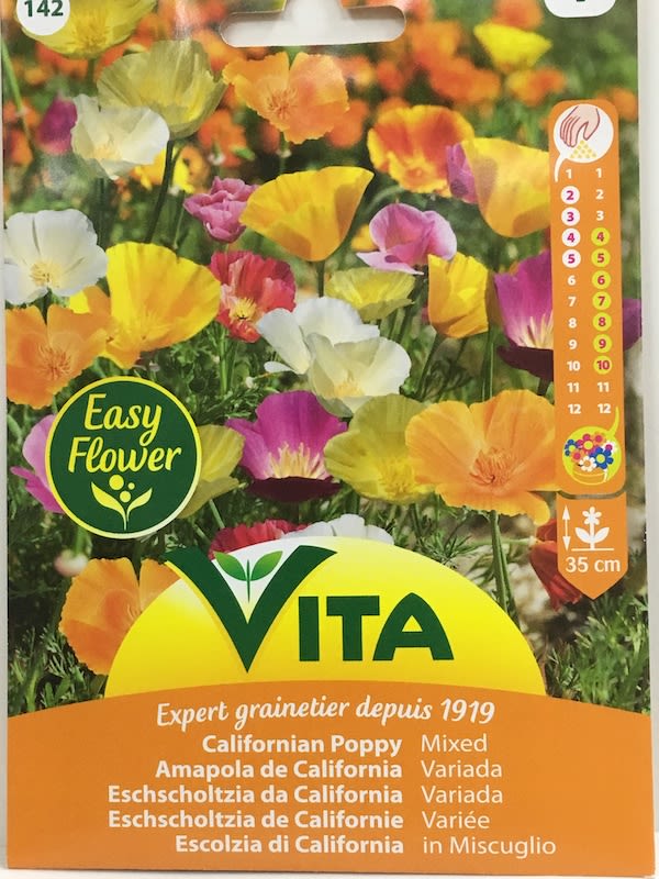 AMAPOLA  DE CALIFORNIA COLORES VARIADOS.1