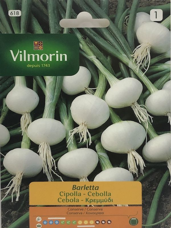 CEBOLLA  BLANCA BARLETTA1