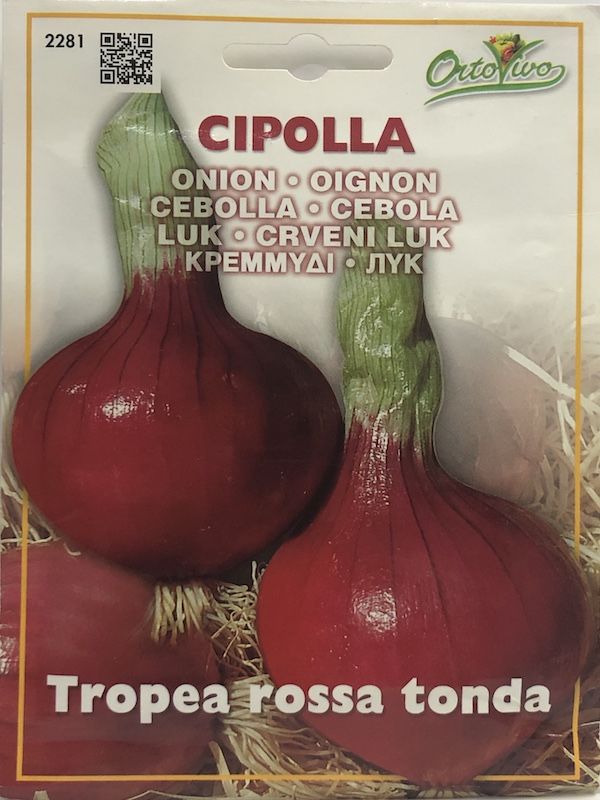 CEBOLLA ROJA1