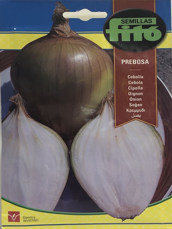 CEBOLLA PREBOSA ( tipo Chalota )1