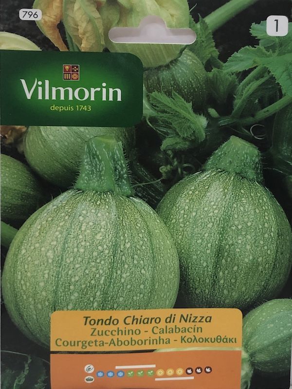 ZAPALLO ITALIANO REDONDO 5 Gramos1