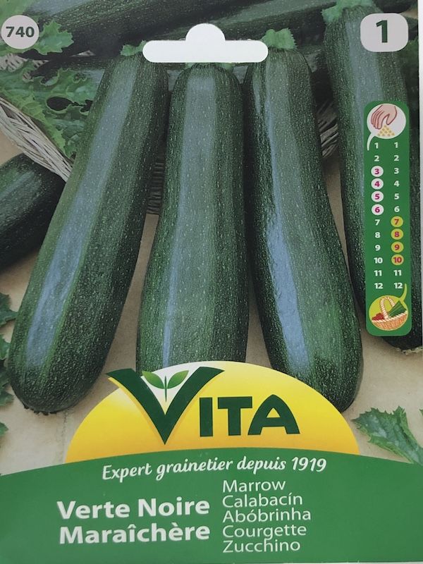 ZAPALLO ITALIANO CALABACÍN 3 GRAMOS1