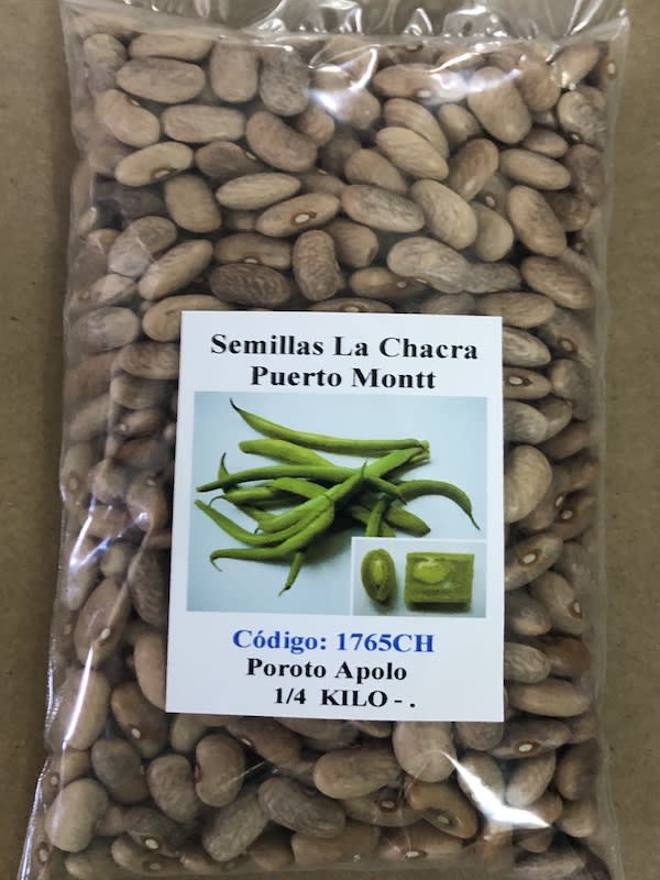 Poroto Verde: Variedad Apolo 250 Gramos1