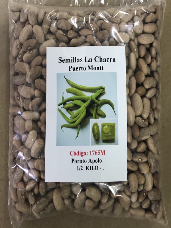 Poroto Verde: Variedad Apolo. 500 Gramos1