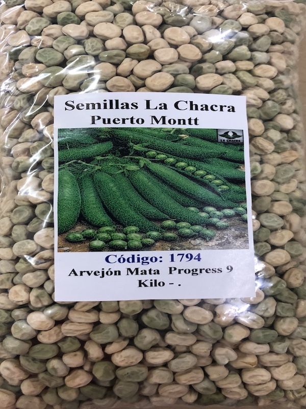 Arvejón de Mata Progress KILO1