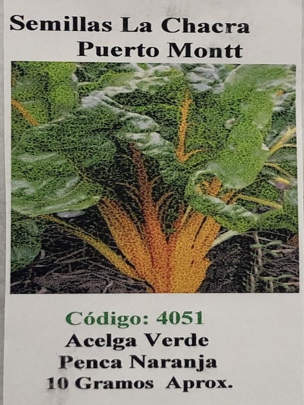 Acelga Verde Penca Naranja 10 Gramos1