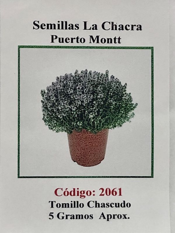 Tomillo Chascudo 5 Gramos1