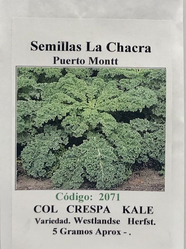 Kale Crespo 5 Gramos1