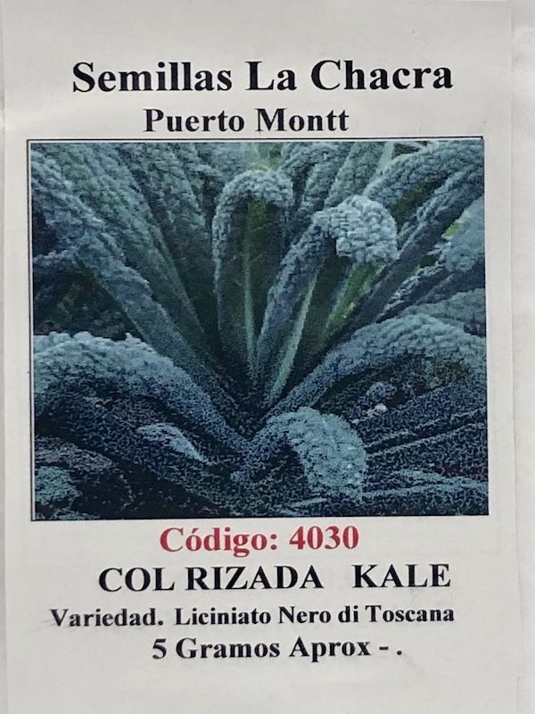 Kale Verde Rizado 5 Gramos1