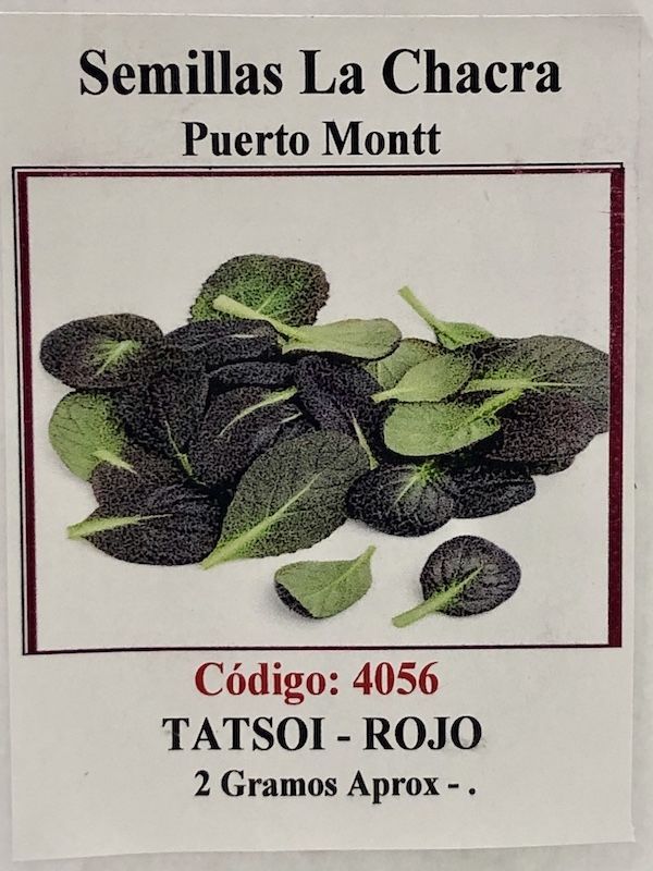 Tatsoi Rojo1
