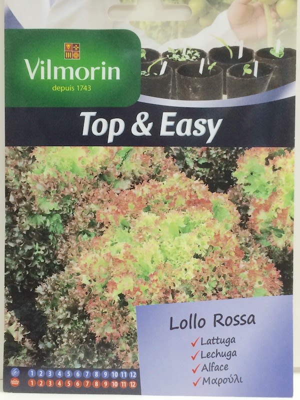 LECHUGA LOLLO ROSSA 4 Gramos1