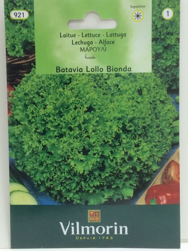 LECHUGA Vilmorin LOLLO BIONDA  1 Gramo1
