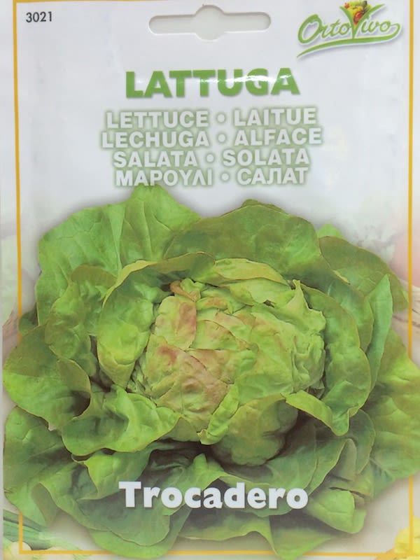 LECHUGA TROCADERO1