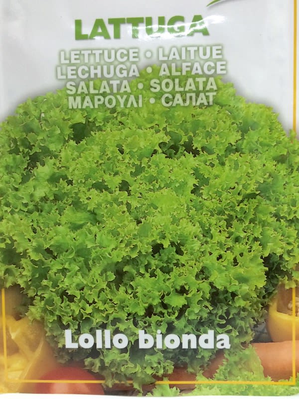 LECHUGA LOLLO BIONDA 6 Gramos1