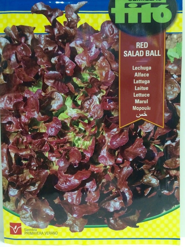 LECHUGA RED SALAD BALL1