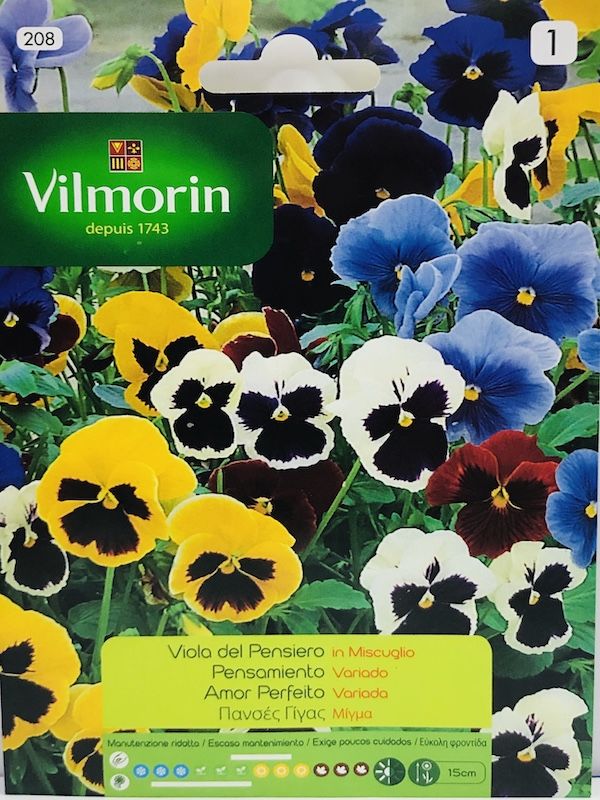 PENSAMIENTO COLORES VARIADOS (205)1