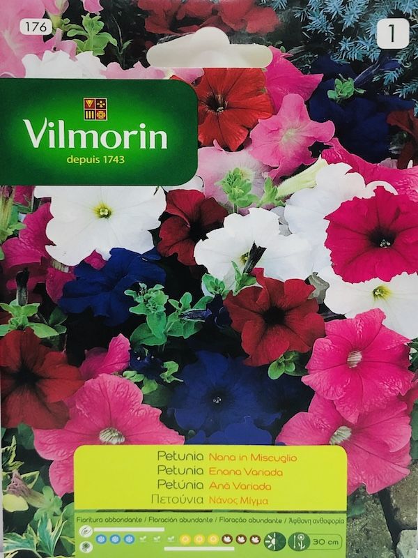 PETUNIA ENANA COLORES VARIADADOS1