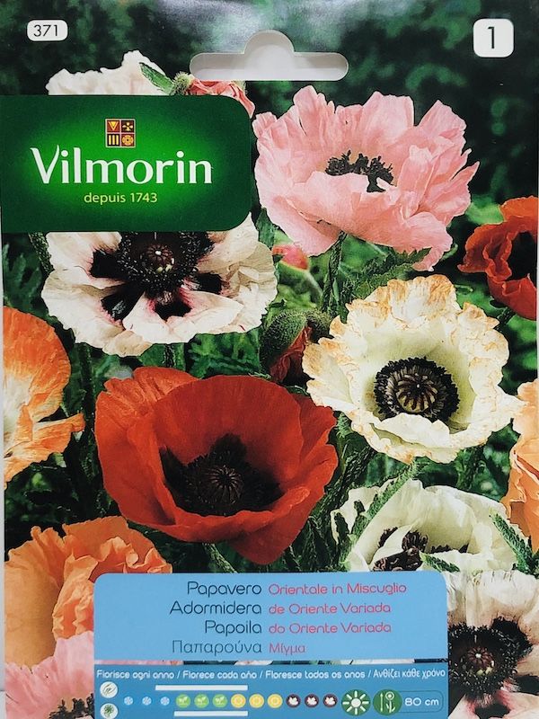 AMAPOLA ORIENTAL  DOBLE VARIADA (370 I)1