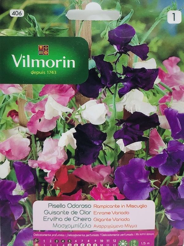 GUISANTE OLOROSO ENRAME COLORES VARIADOS1